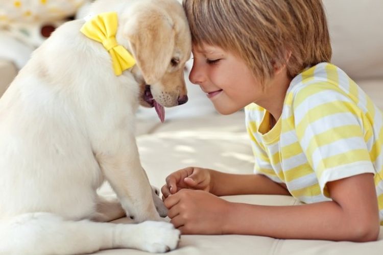 Un enfant et un chiot avec un nœud papillon