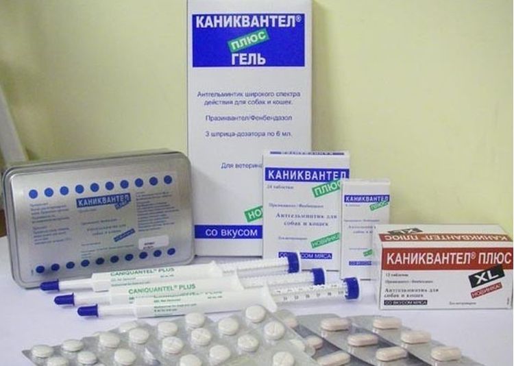 Comprimés et gel de caniquantel