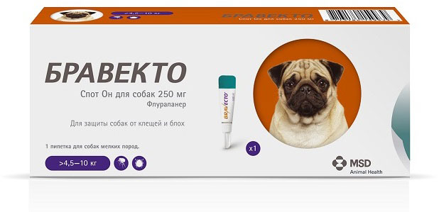 Gouttes Bravecto pour chiens