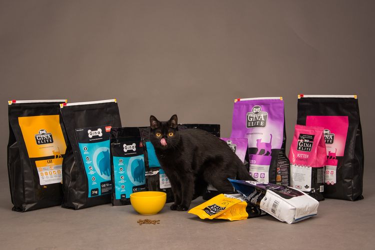 Un chat noir près d'emballages alimentaires