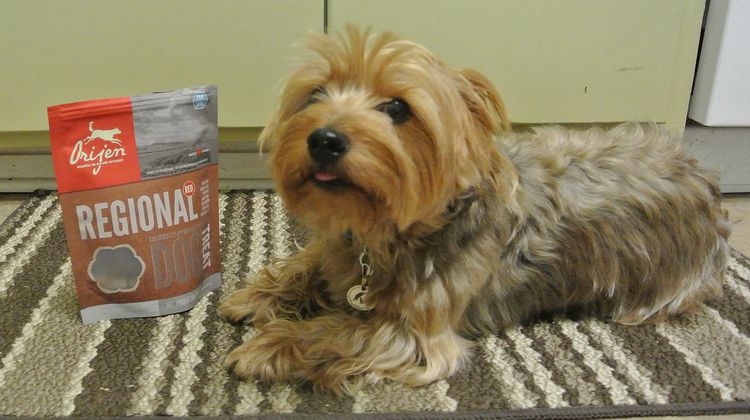 Orijen chien et nourriture