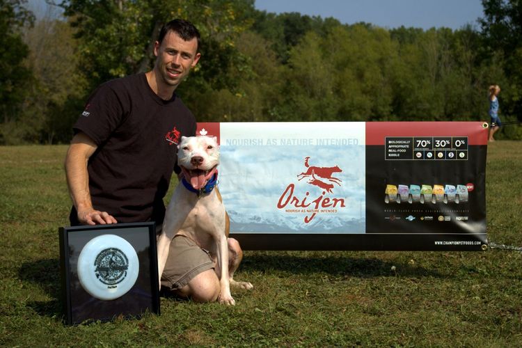 Pitbull à l'exposition