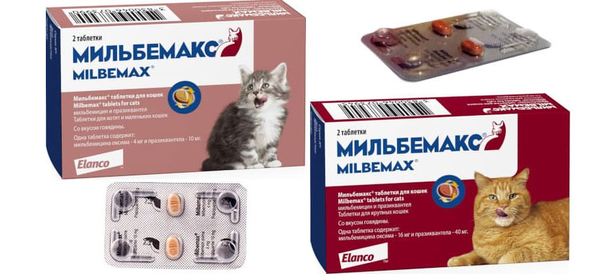 Milbemax est un médicament anthelminthique pour chats, présenté sous forme de comprimés.
