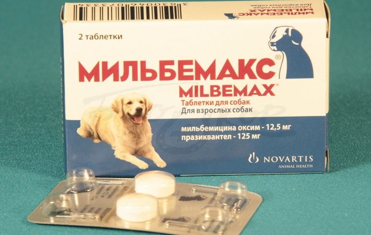 Comprimés vermifuges Milbemax pour chiens