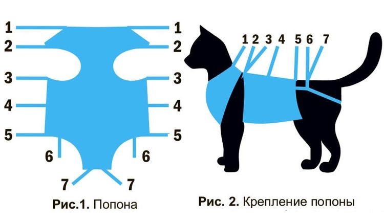 Comment mettre une couverture sur un chat