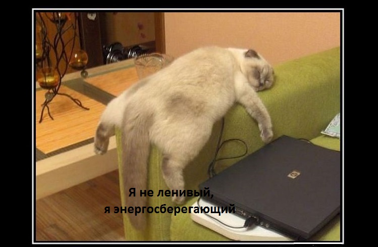 Le chat dort sur le dossier de la chaise.