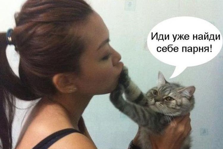 Le chat donne un coup de patte à son maître.