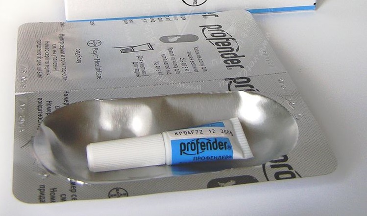 Une pipette contenant un remède contre les puces