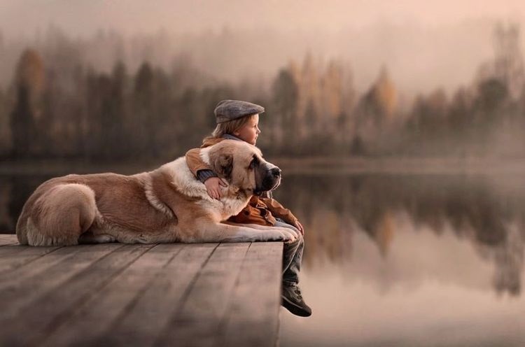 Un enfant et un chien Alabai sur un pont