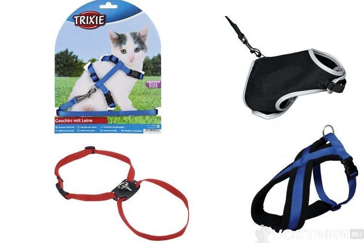 Types de harnais pour chats
