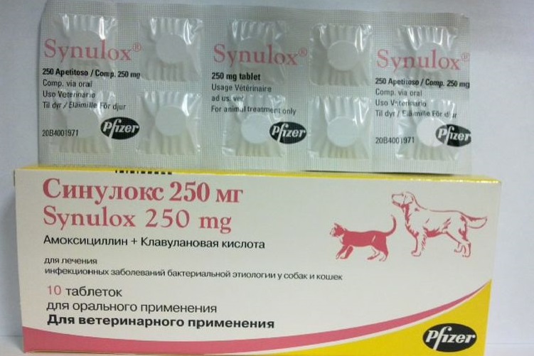 Comprimés de Sinulox