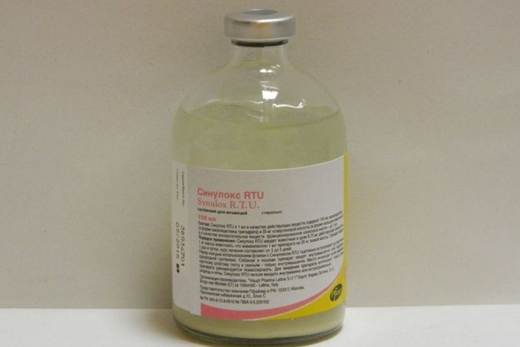 Sinulox pour injection