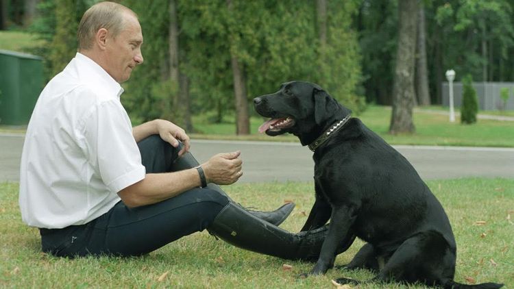 Le président Vladimir Poutine avec son chien