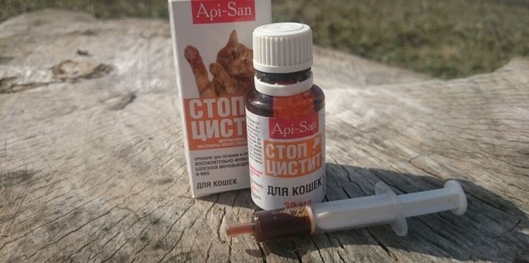 Médicament pour chat sur une souche