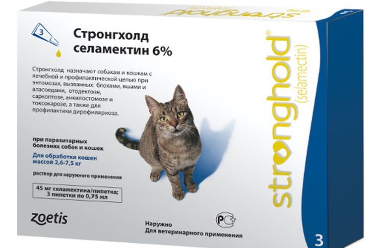 boîte à médicaments de forteresse