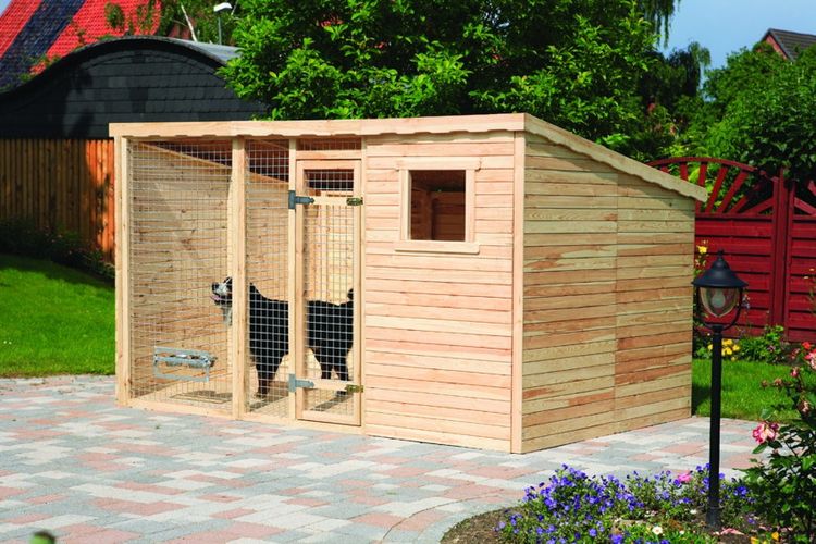 Un chien dans un enclos en bois