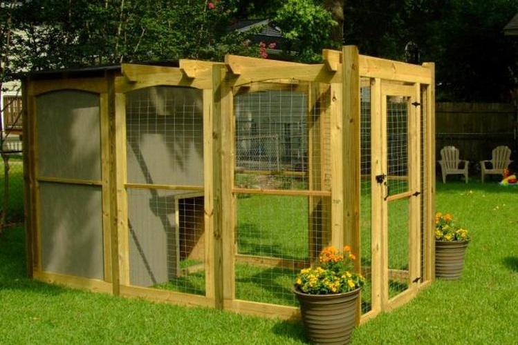 Volière sur le site