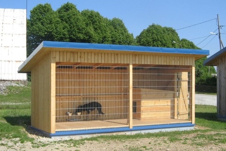 Un chien dans une cage au toit bleu