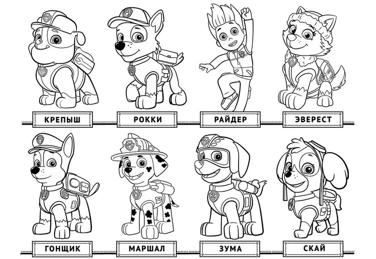 Page de coloriage Pat' Patrouille