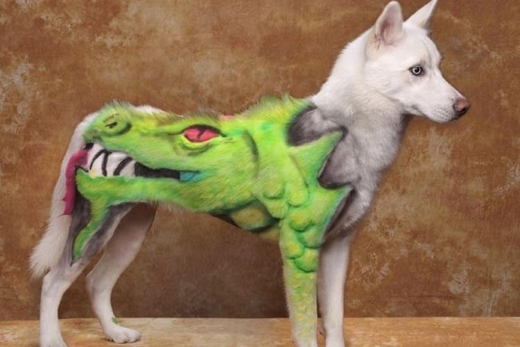 Coupes de cheveux amusantes pour chiens