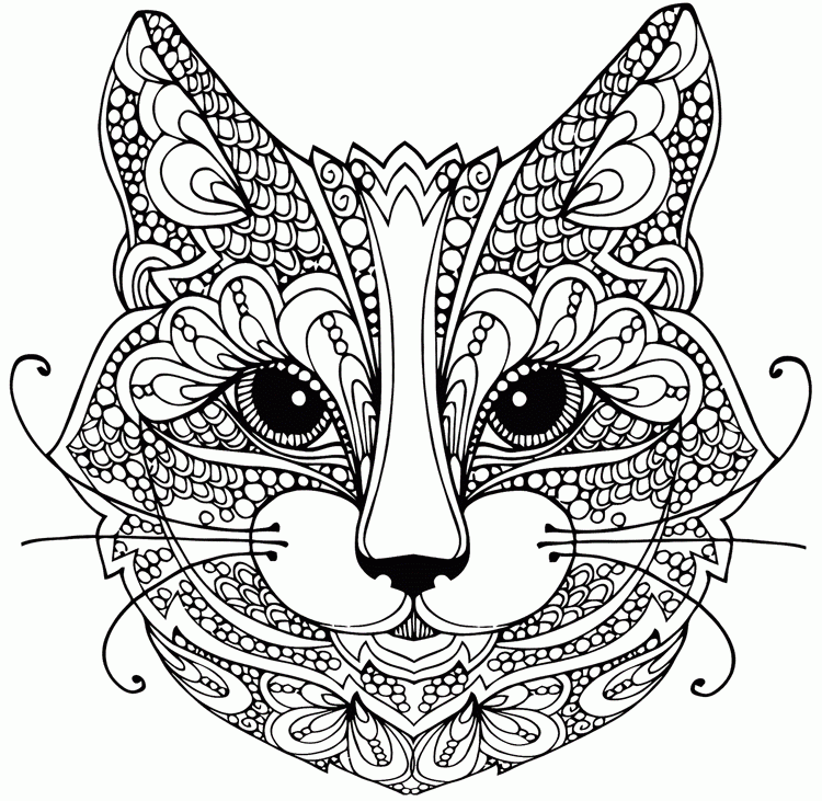 Livre de coloriage anti-stress représentant un chat