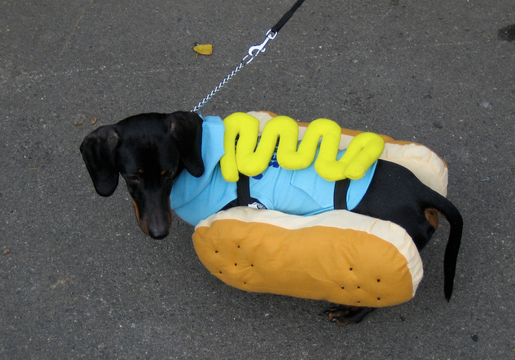 combinaison de travail