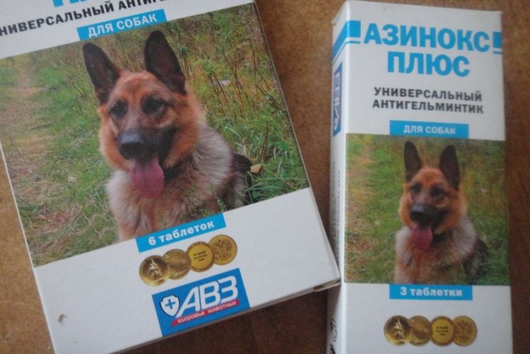 Azinox Plus pour chiens