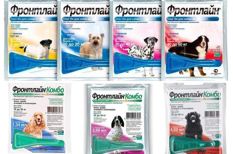 Types de spot-on de première ligne