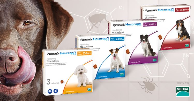 Garde de première ligne Nextguard