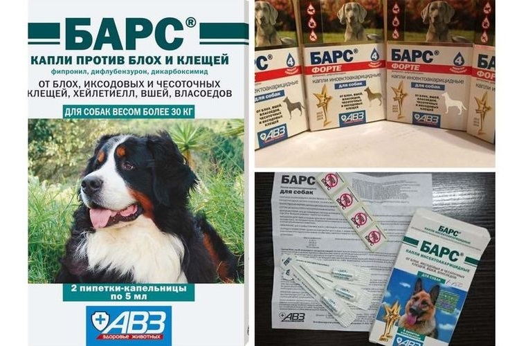 Barres de gouttes pour chiens