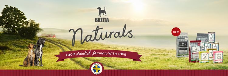 Nourriture pour chiens Bozita