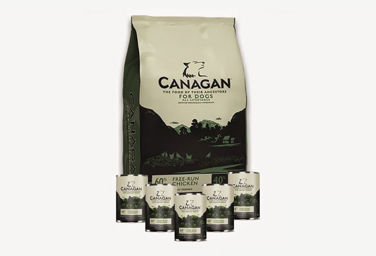Aliments holistiques pour chiens Canagan