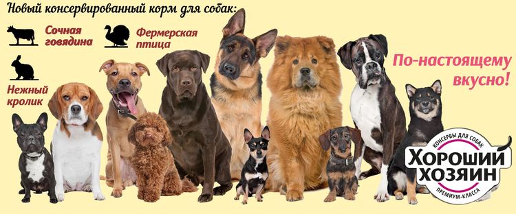 Nourriture pour chien Bon propriétaire