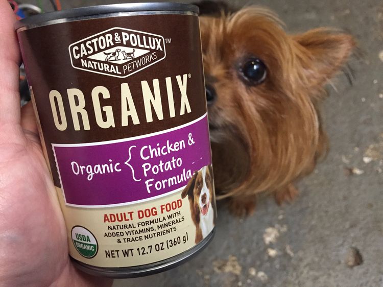 Aliments biologiques pour petits chiens