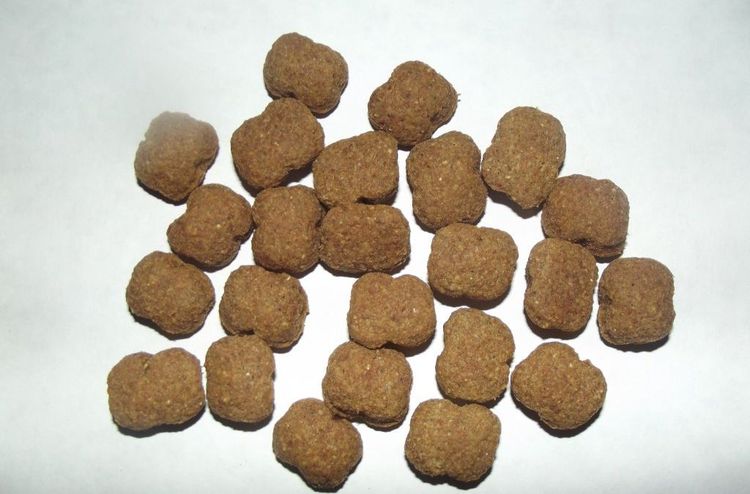 Granulés pour croquettes pour chien