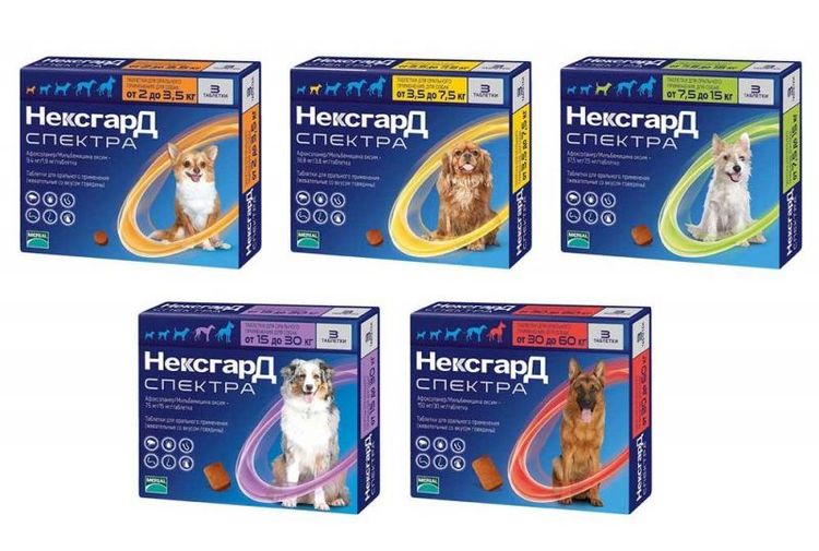 Nexgard Spectra pour chiens