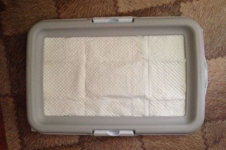 Plateau avec une couche