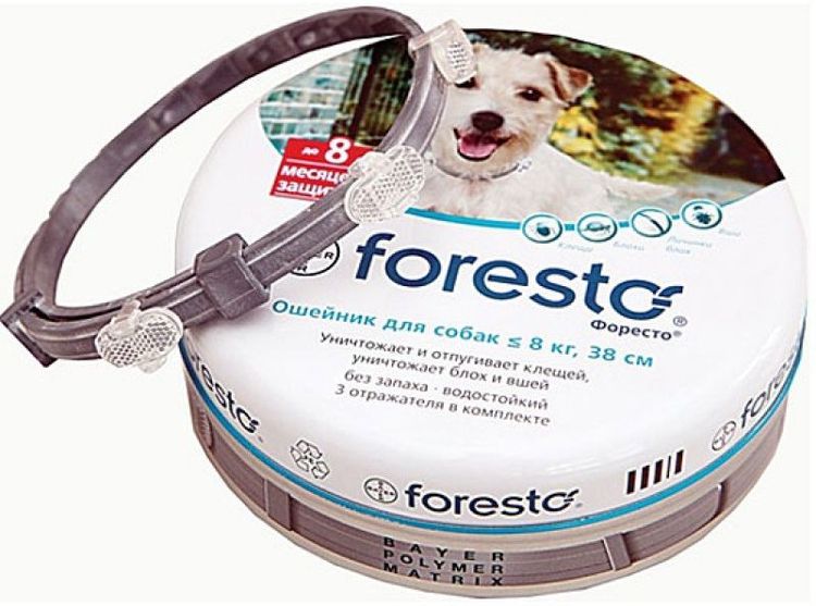 Foresto contre les puces et les tiques