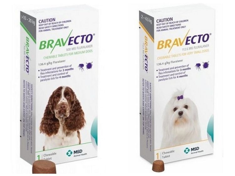 Bravecto contre les puces et les tiques