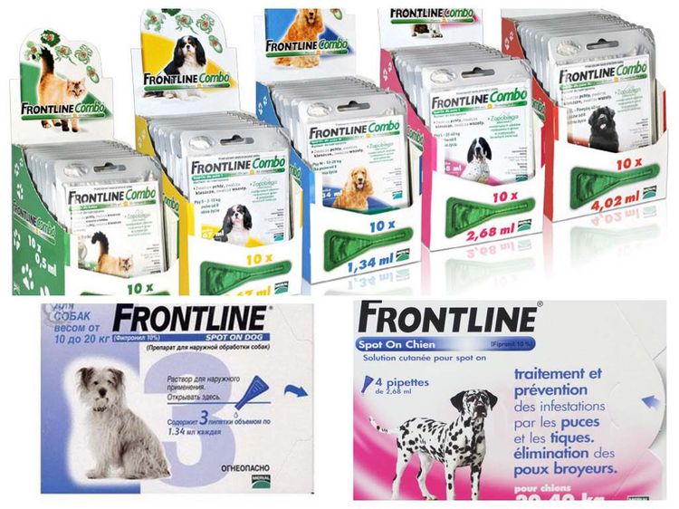 Contrôle combiné des puces et des tiques de Frontline