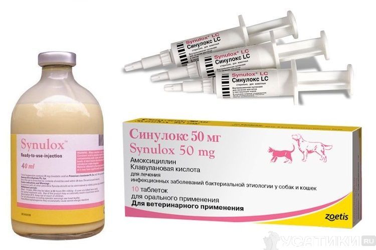 formes de libération du médicament Synulox