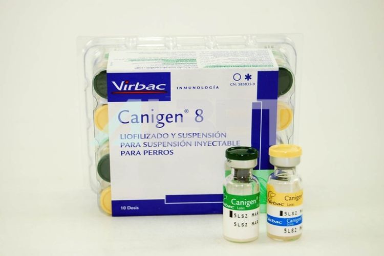 Vaccin Canigen pour chiens