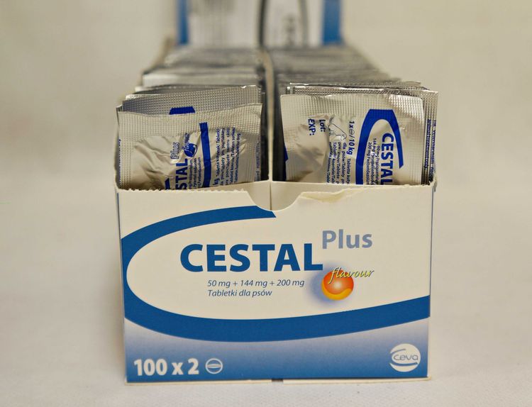 Cestal pour chiens individuellement