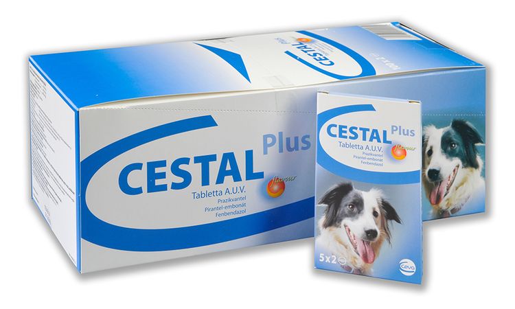 Cestal pour chiens