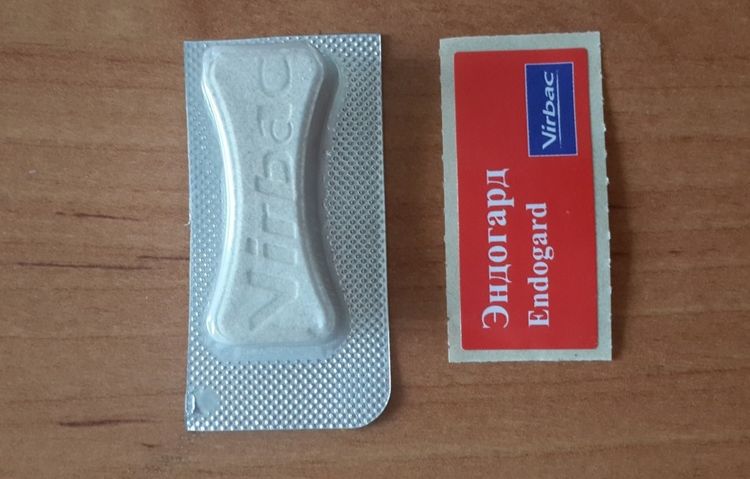 Comprimés Endogard pour chiens