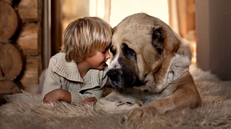 Un enfant et un chien