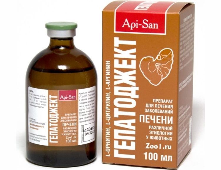 Hepatoject pour chiens