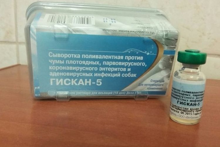 Sérum pour chiens Giskan 5