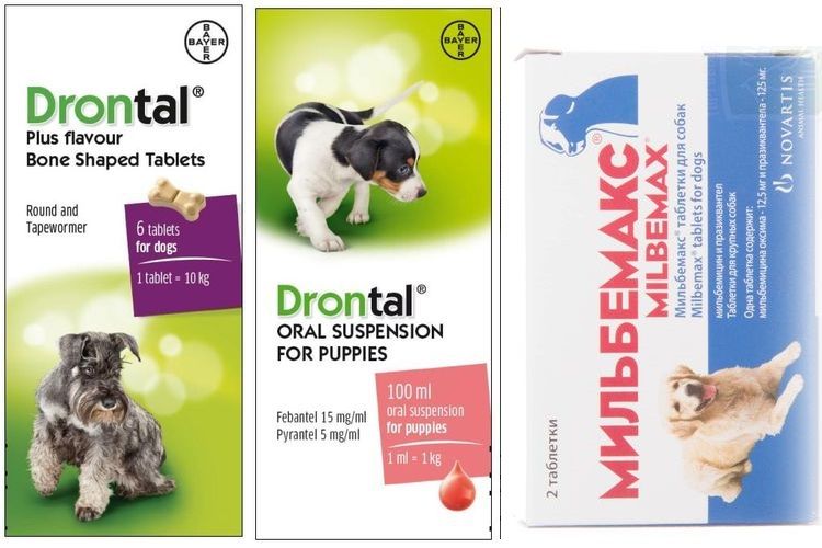 Médicaments anthelminthiques