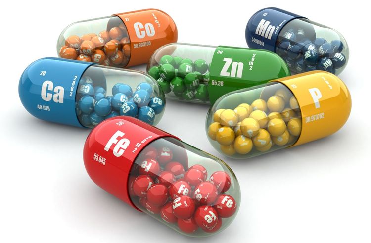 Vitamines pour chiens